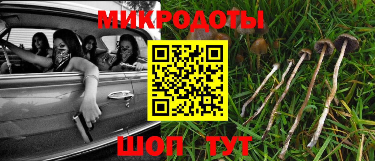 Псилоцибиновые грибы прущие грибы Отрадное