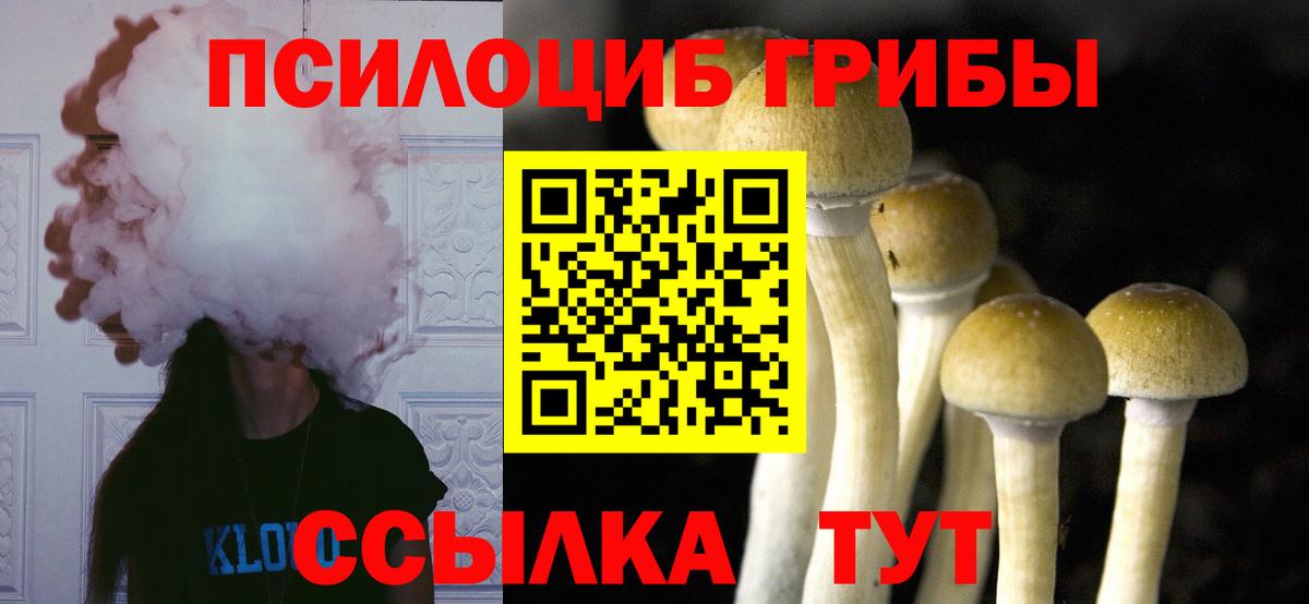 Отрадное  Галлюциногенные грибы GOLDEN TEACHER  Вход с VPN  Псилоцибиновые грибы Magic Shrooms 