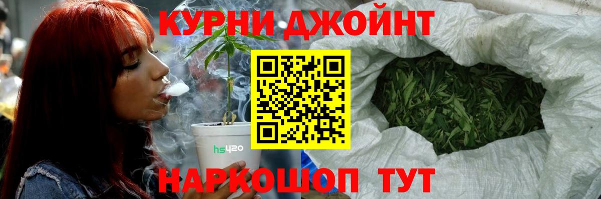 Конопля марихуана Отрадное